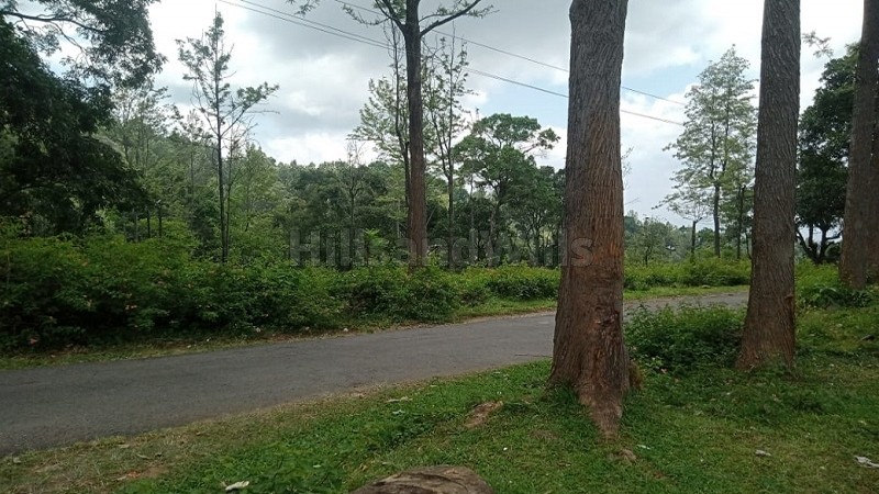 ₹78.75 Cr&nbsp;|&nbsp;525 acres tea & coffee estate with sandal wood trees for sale  in kotagiri