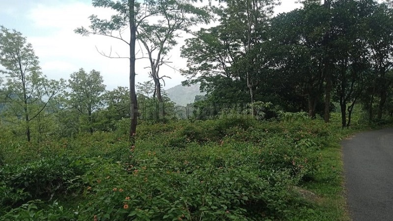 ₹78.75 Cr&nbsp;|&nbsp;525 acres tea & coffee estate with sandal wood trees for sale  in kotagiri