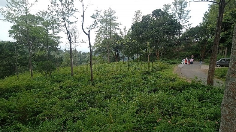 ₹78.75 Cr&nbsp;|&nbsp;525 acres tea & coffee estate with sandal wood trees for sale  in kotagiri
