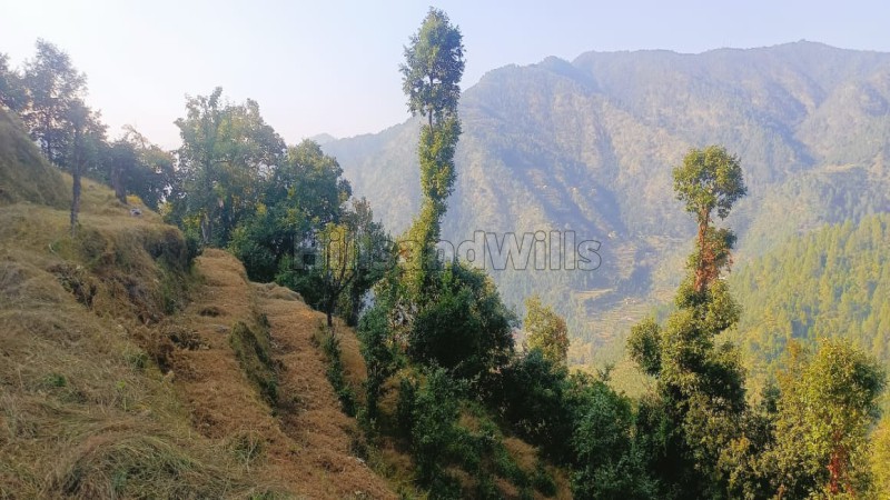 ₹42 Lac | 240 sq.yards residential plot for sale in ramgarh nainital
