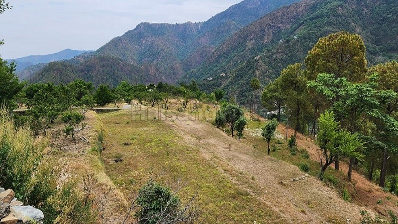 ₹25 Lac | 75 nali commerical land for sale in talla ramgarh near nainital