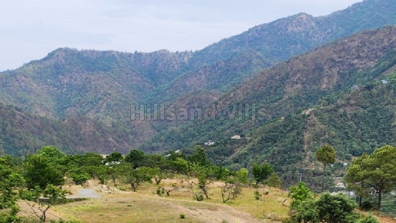₹25 Lac | 75 nali commerical land for sale in talla ramgarh near nainital