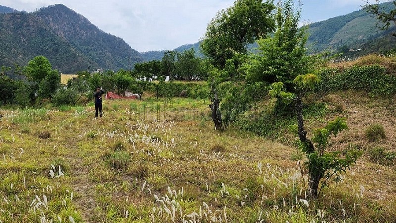 ₹25 Lac | 75 nali commerical land for sale in talla ramgarh near nainital