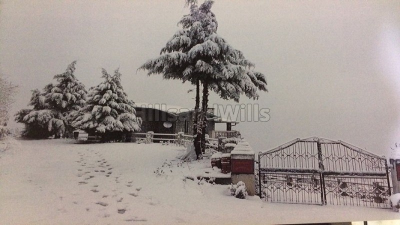 ₹3 Cr&nbsp;|&nbsp;3bhk  snow clad himalayan view cottage for sale  in mukteshwar nainital