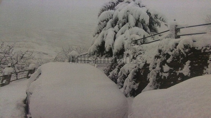 ₹3 Cr&nbsp;|&nbsp;3bhk  snow clad himalayan view cottage for sale  in mukteshwar nainital