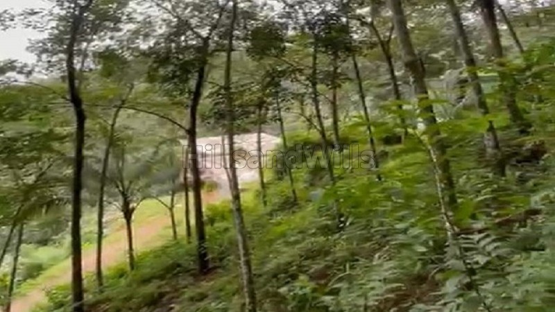 ₹40 Lac&nbsp;|&nbsp;82 cents rubber estate for sale  in vanchikavala idukki