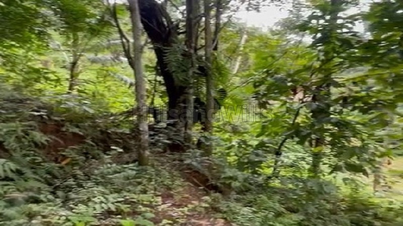 ₹40 Lac&nbsp;|&nbsp;82 cents rubber estate for sale  in vanchikavala idukki