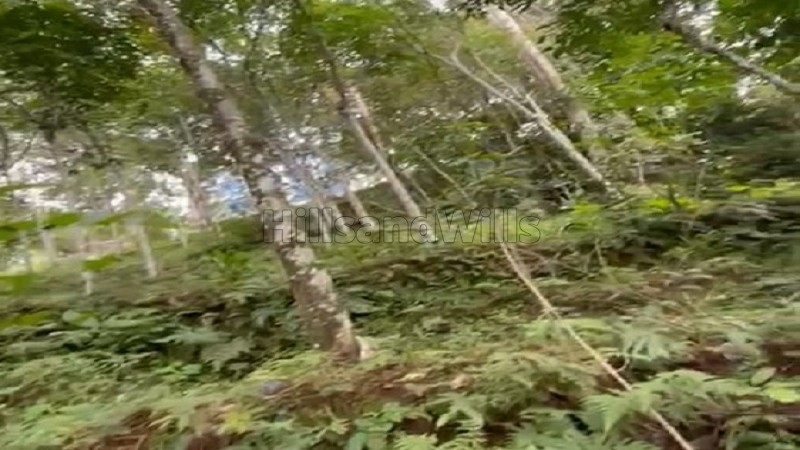 ₹40 Lac&nbsp;|&nbsp;82 cents rubber estate for sale  in vanchikavala idukki