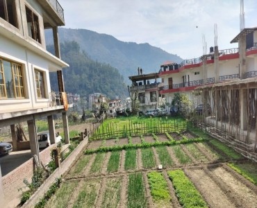 9.5 biswa agriculture land for sale  between kullu manali and shimla