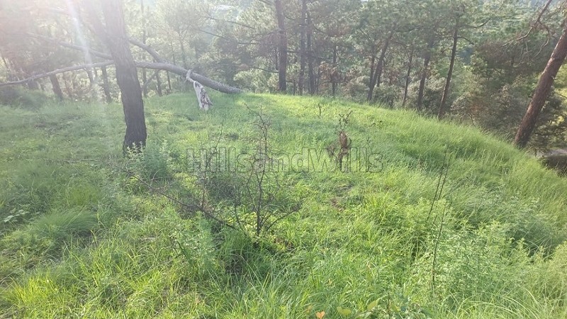 ₹50 Lac&nbsp;|&nbsp;10800 sq.ft. commerical land for sale  in almora near nainital