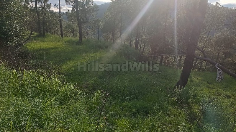 ₹50 Lac&nbsp;|&nbsp;10800 sq.ft. commerical land for sale  in almora near nainital