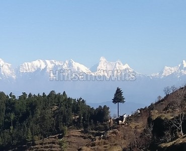 95040 sq.ft. commerical land for sale  in almora near nainital