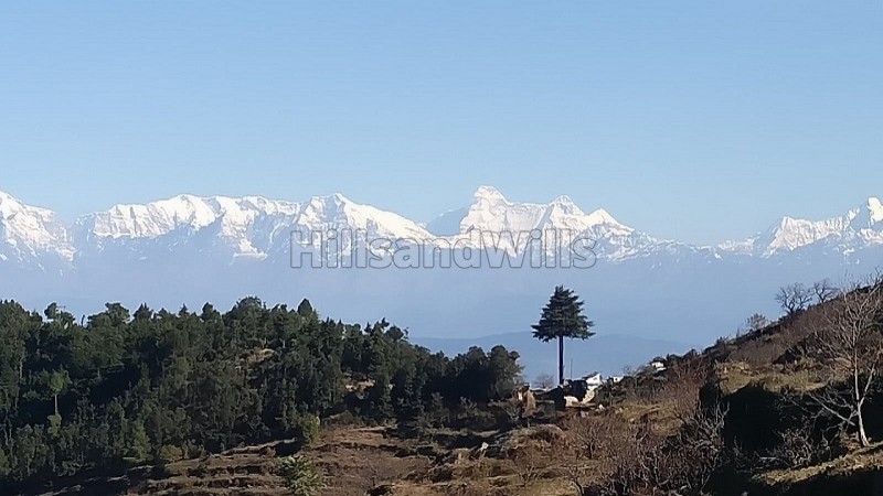 ₹1.50 Cr&nbsp;|&nbsp;95040 sq.ft. commerical land for sale  in almora near nainital