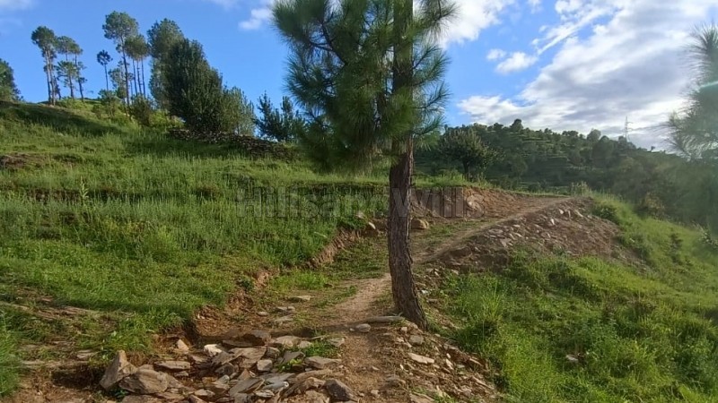 ₹1.50 Cr&nbsp;|&nbsp;95040 sq.ft. commerical land for sale  in almora near nainital