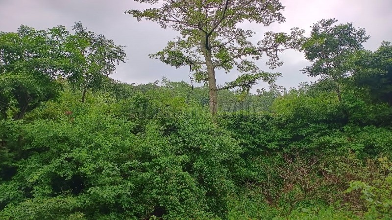 ₹56 Lac&nbsp;|&nbsp;172.5 sq.yards  doon valley view residential plot for sale  in danda lakhond dehradun