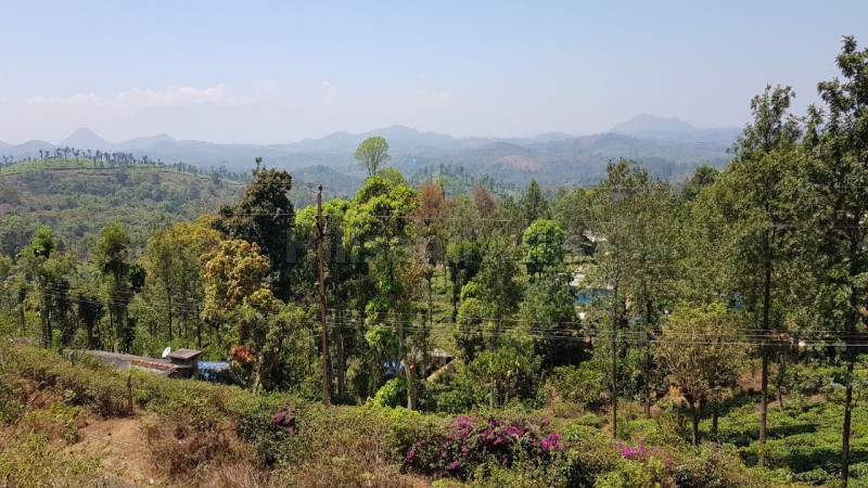 ₹1.35 Cr | 35 cents residential plot for sale in ulhatty ooty