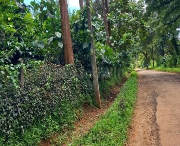 85 acres coffee estate for sale  in wayanad