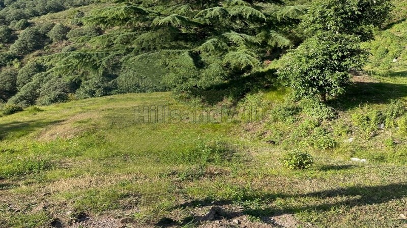 ₹40 Lac | 1 bigha agriculture land for sale in hathipao mussoorie