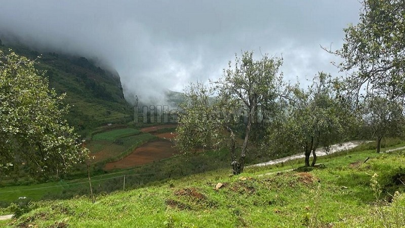₹1.19 Cr&nbsp;|&nbsp;10900 sq.ft.  palani temple view gated community residential plot for sale  in vilpatti kodaikanal