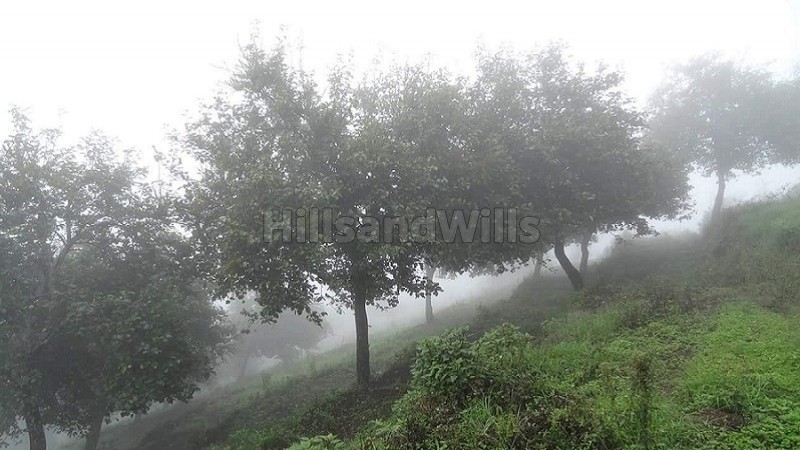 ₹1.19 Cr&nbsp;|&nbsp;10900 sq.ft.  palani temple view gated community residential plot for sale  in vilpatti kodaikanal