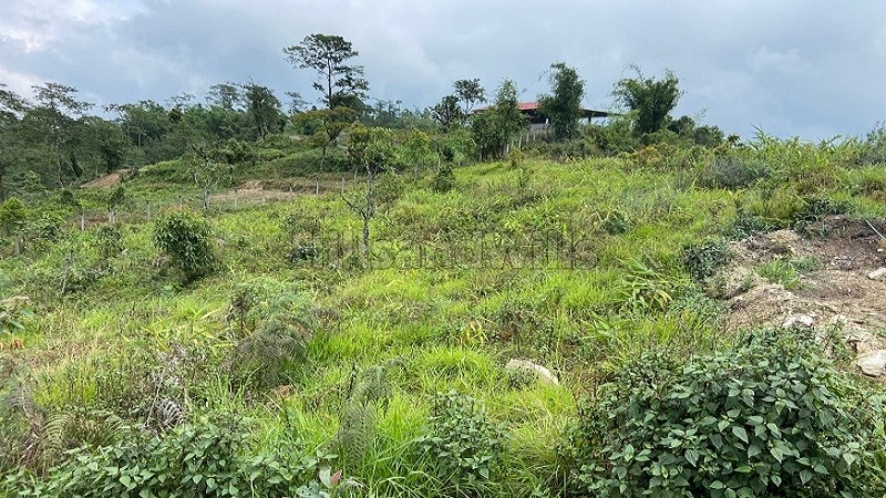 ₹1.50 Cr&nbsp;|&nbsp;21000 sq.ft. agriculture land for sale  in kalimpong darjeeling