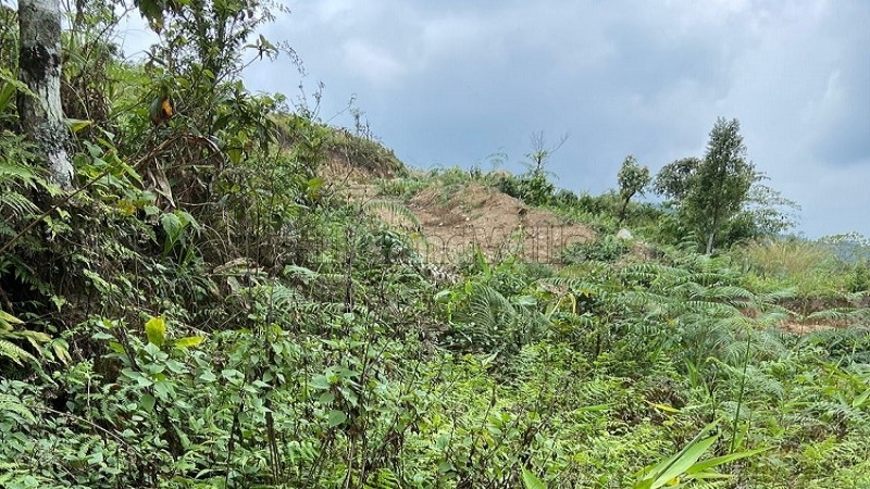 ₹1.50 Cr&nbsp;|&nbsp;21000 sq.ft. agriculture land for sale  in kalimpong darjeeling