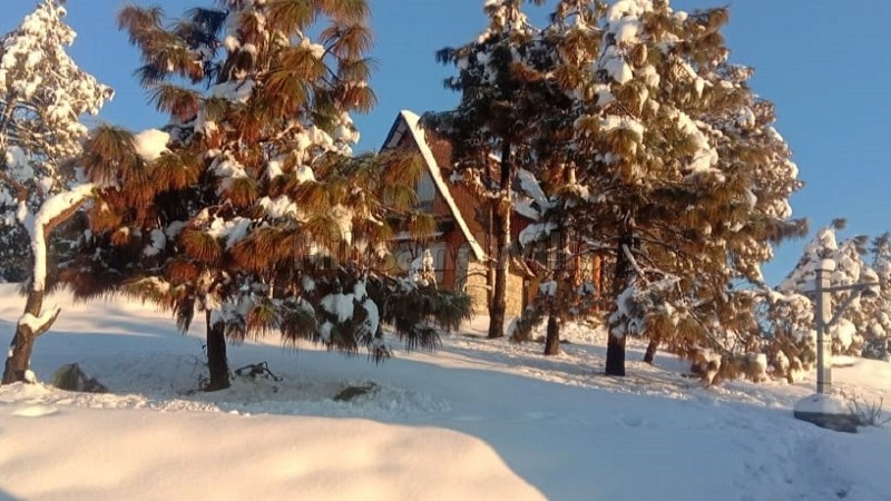 ₹35 Cr&nbsp;|&nbsp;12000 sq. ft resort for sale  in manila, almora near nainital along with 37000 sq.ft. land