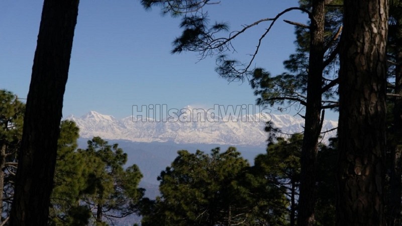 ₹35 Cr&nbsp;|&nbsp;12000 sq. ft resort for sale  in manila, almora near nainital along with 37000 sq.ft. land