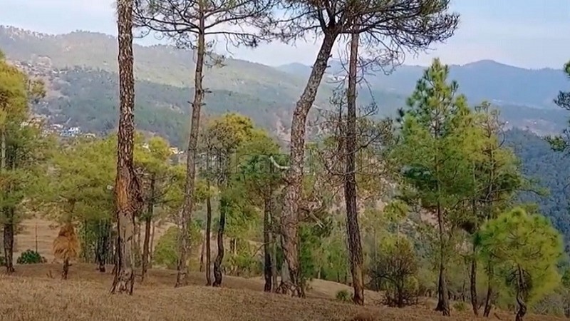 ₹24 Lac - 48 Lac&nbsp;|&nbsp;300 sq.yards - 600 sq.yards  himalayan view residential plots for sale  in jalna, almora near nainital
