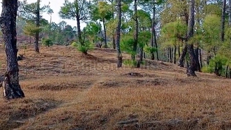 ₹24 Lac - 48 Lac&nbsp;|&nbsp;300 sq.yards - 600 sq.yards  himalayan view residential plots for sale  in jalna, almora near nainital