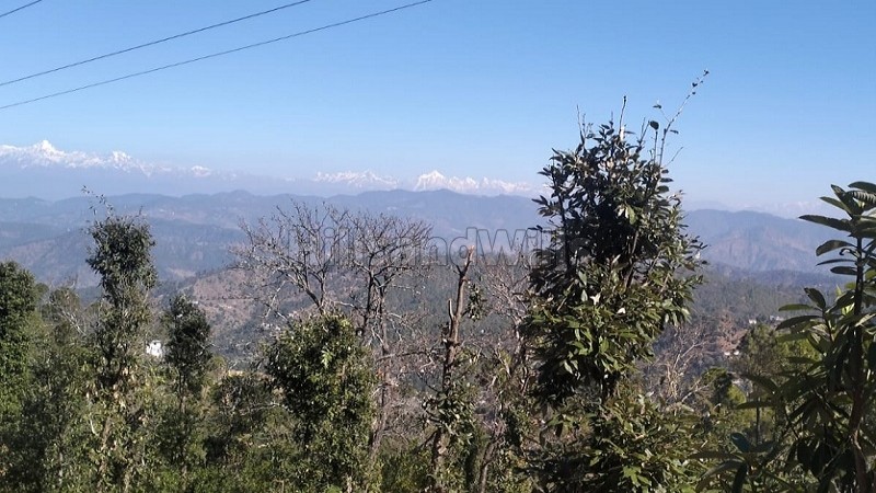 ₹24 Lac - 48 Lac&nbsp;|&nbsp;300 sq.yards - 600 sq.yards  himalayan view residential plots for sale  in jalna, almora near nainital