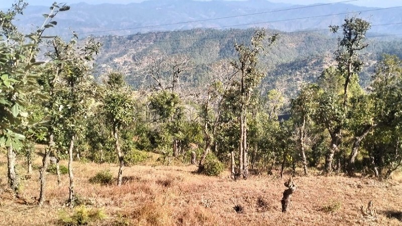 ₹24 Lac - 48 Lac&nbsp;|&nbsp;300 sq.yards - 600 sq.yards  himalayan view residential plots for sale  in jalna, almora near nainital