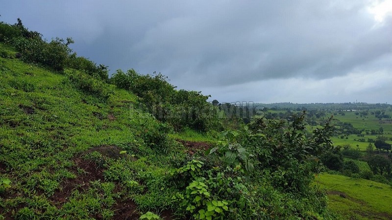 ₹20 Lac | 10 guntha agriculture land for sale in velunje trambak