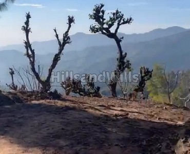 14 bigha commerical land for sale in bhoj nagar solan 14 bigha commerical land for sale in bhoj nagar solan