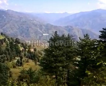 1.5 bigha agriculture land suitable for apple orchard for sale in fagu shimla 1.5 bigha agriculture land suitable for apple orchard for sale in fagu shimla