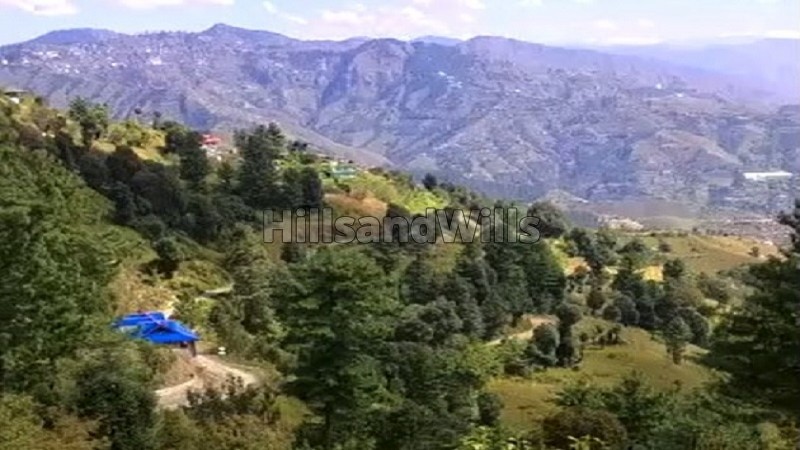 ₹80 Lac&nbsp;|&nbsp;1.5 bigha  agriculture land suitable for apple orchard for sale  in fagu shimla