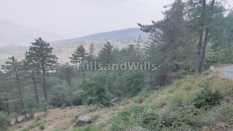 ₹80 Lac&nbsp;|&nbsp;1.5 bigha  agriculture land suitable for apple orchard for sale  in fagu shimla