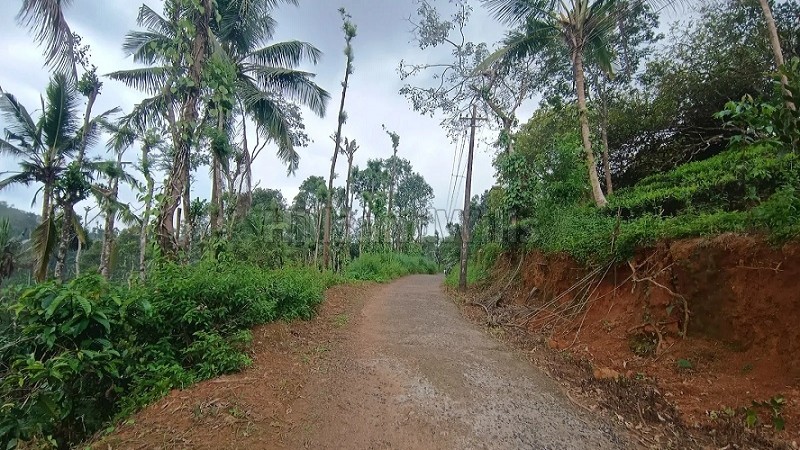₹56 Lac&nbsp;|&nbsp;2 acres coffee estate for sale  in karimani wayanad