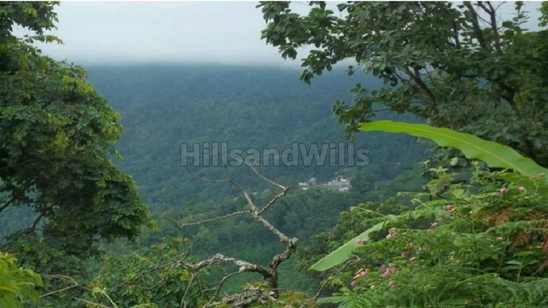 ₹5 Cr&nbsp;|&nbsp;20 acres agriculture land for sale  in pannaikadu kodaikanal