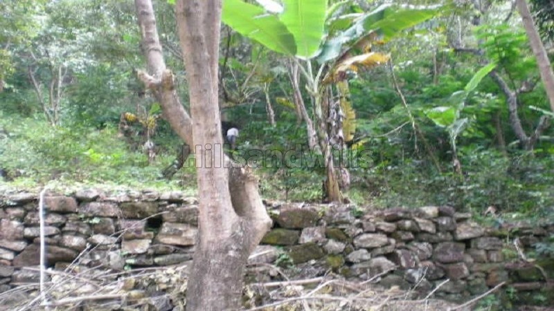 ₹5 Cr&nbsp;|&nbsp;20 acres agriculture land for sale  in pannaikadu kodaikanal