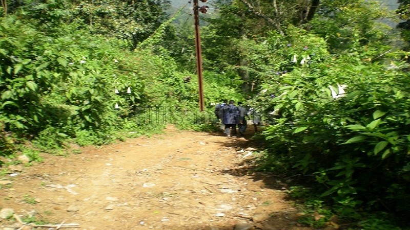 ₹5 Cr&nbsp;|&nbsp;20 acres agriculture land for sale  in pannaikadu kodaikanal