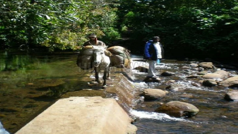 ₹5 Cr&nbsp;|&nbsp;20 acres agriculture land for sale  in pannaikadu kodaikanal