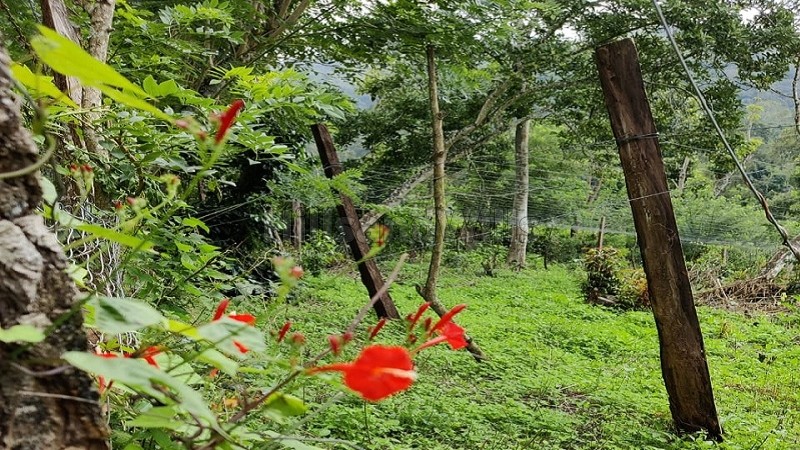 ₹5 Cr&nbsp;|&nbsp;20 acres agriculture land for sale  in pannaikadu kodaikanal