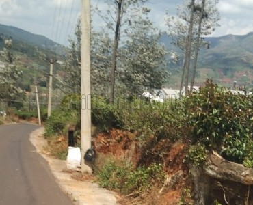 92 cents tea estate for sale  in masakal kotagiri