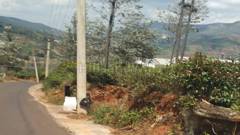 ₹2 Cr&nbsp;|&nbsp;92 cents tea estate for sale  in masakal kotagiri
