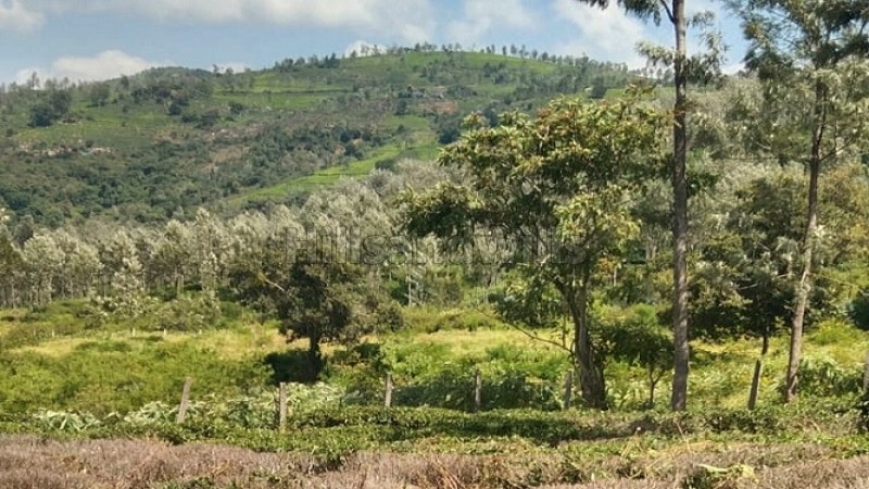 ₹2 Cr&nbsp;|&nbsp;92 cents tea estate for sale  in masakal kotagiri