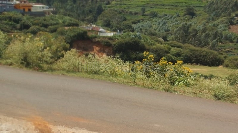 ₹2 Cr&nbsp;|&nbsp;92 cents tea estate for sale  in masakal kotagiri