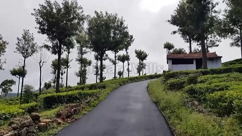 ₹3.25 Cr&nbsp;|&nbsp;69 cents tea estate for sale  in konavakarai kotagiri