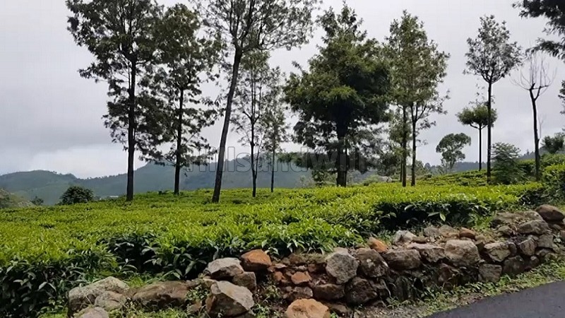 ₹3.25 Cr&nbsp;|&nbsp;69 cents tea estate for sale  in konavakarai kotagiri