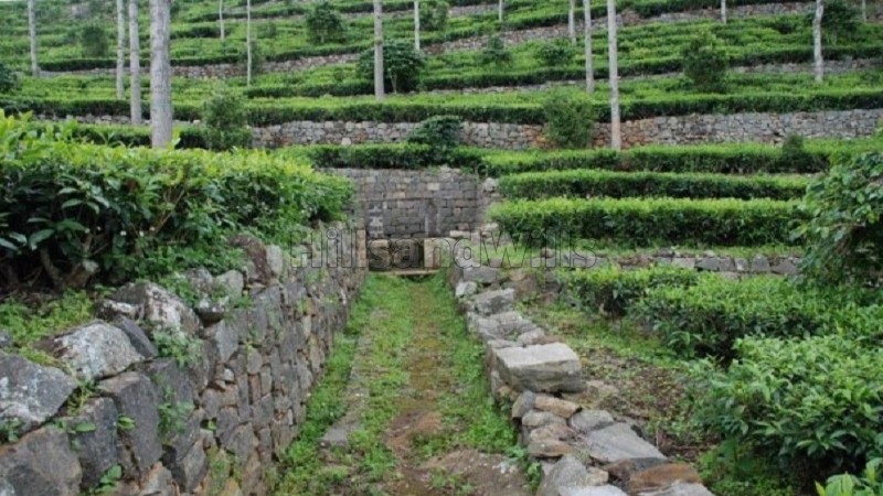 ₹3.25 Cr&nbsp;|&nbsp;69 cents tea estate for sale  in konavakarai kotagiri
